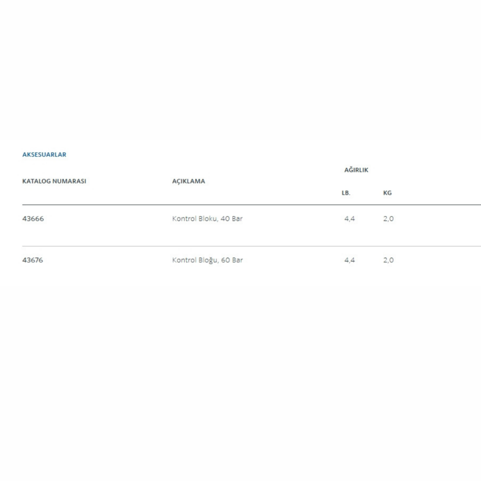 Ridgid Kontrol Bloğu 60 Bar
